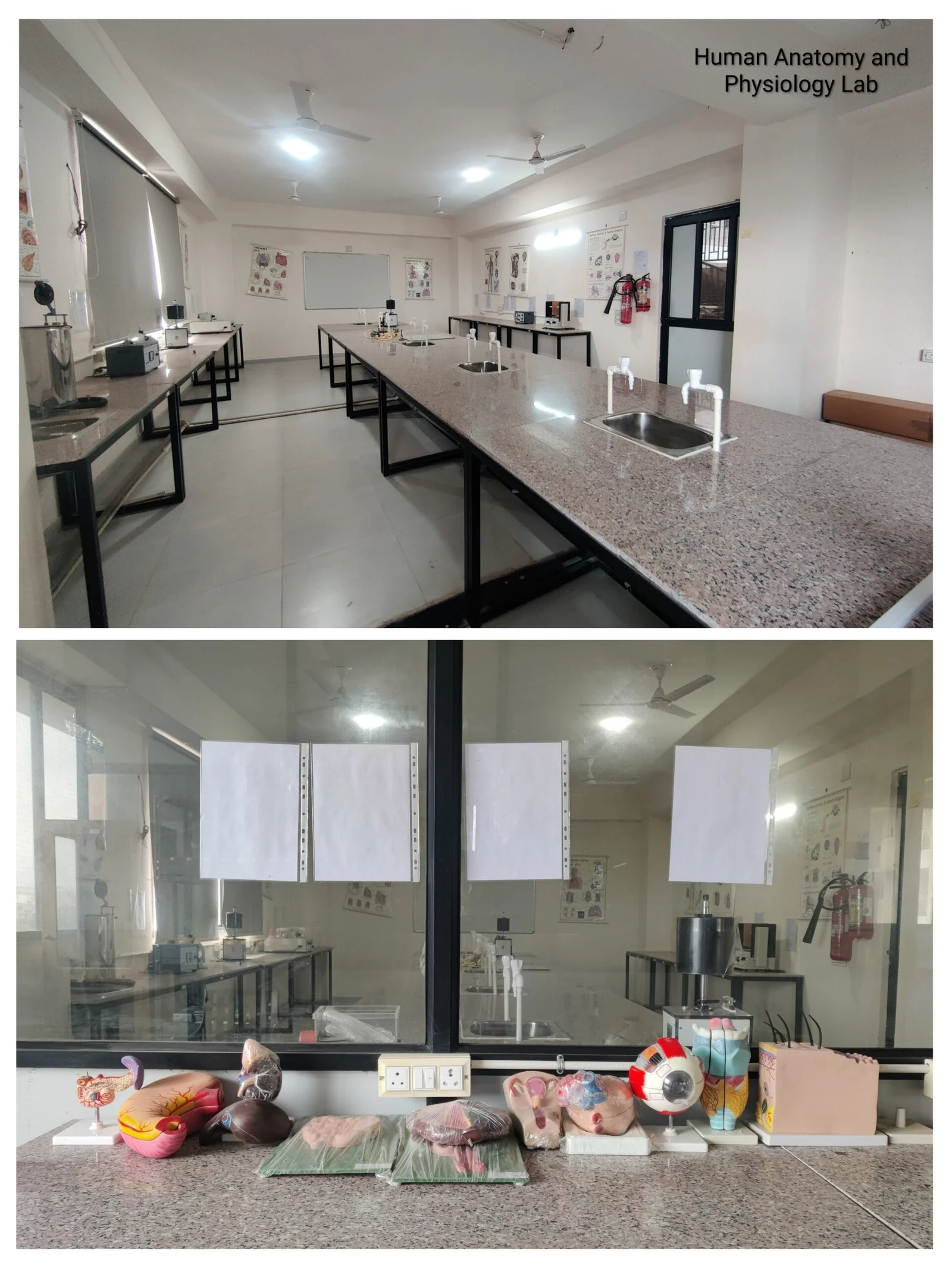 Pharmacy laboratory at KN University